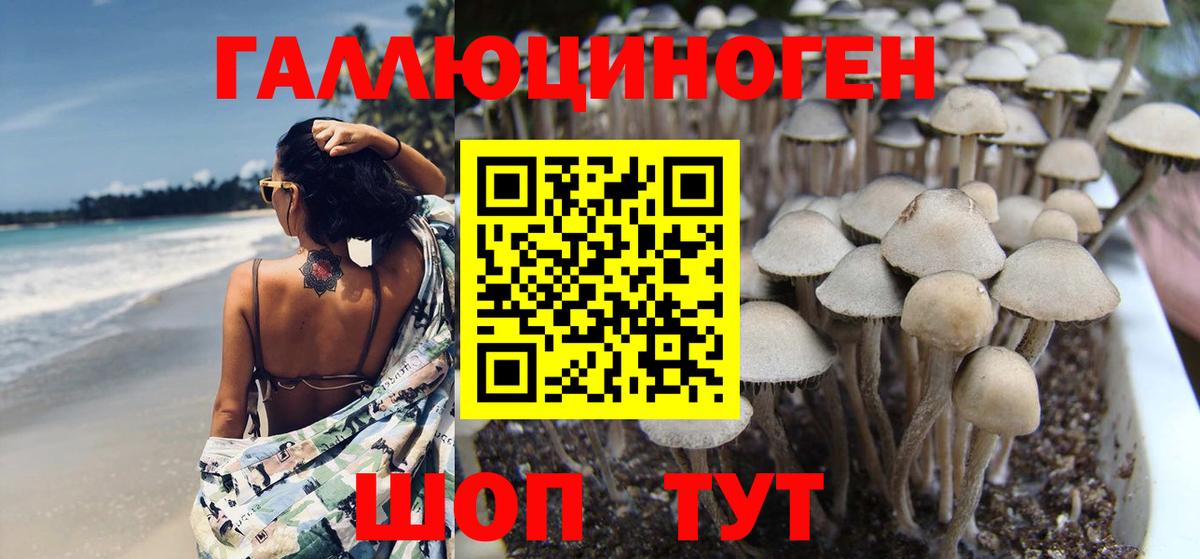 Псилоцибиновые грибы Magic Shrooms  Вход с VPN  купить наркотик  Набережные Челны 